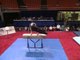 Blaine Wilson - Pommel Horse - 1996 U.S. Gymnastics Championships - Men