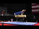 Alex Naddour - Pommel Horse - 2013 P&G Championships - Sr. Men - Day 2