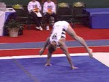 Bill Roth - Floor Exercise - 1995 Visa Gymnastics Challenge - Men