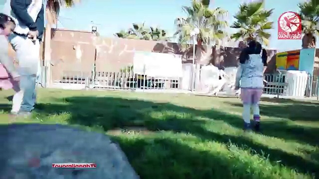 حديقة الحيوان - ابراهيم وليليان وجوان - طيور الجنة