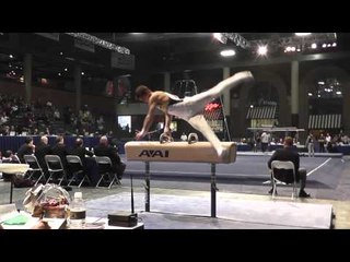 Kevin Wolting - Pommel Horse - 2013 Winter Cup Prelims
