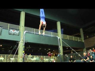 Danell Leyva - Horizontal Bar - 2013 Winter Cup Prelims