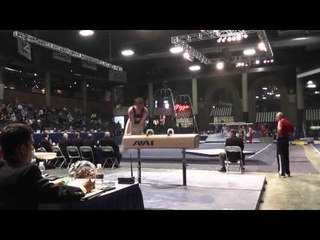 Adrian Evans - Pommel Horse - 2013 Winter Cup Prelims