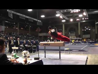 Sean Melton - Pommel Horse - 2013 Winter Cup Prelims