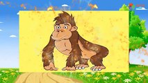 Baby Play Animal Match Up - Learning Animals Sounds And Names For Children Kids And Babies - Part 1
