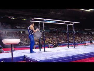Danell Leyva - Parallel Bars - 2013 AT&T American Cup
