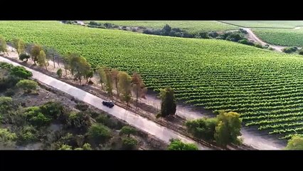 116 Perdona Nuestros Pecados -pt1