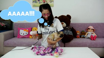 TẮM VÀ TRANG ĐIỂM CHO THỘN LỘN XỘN CỰC CUTE