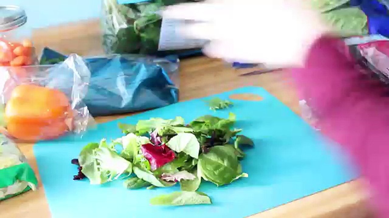 Daily Rabbit Routine 2016