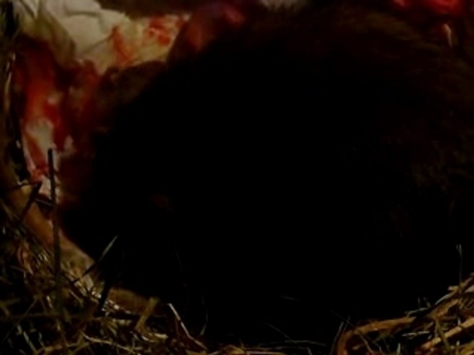 accouchement de mindy 2