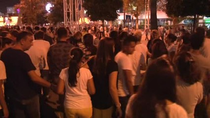 Hadise'nin Konseri Hınca Hınç Dolunca Adanalılar Çam Ağaçlarına Tırmandı