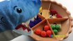 Learn to Count Numbers 1-10 Fruit Pie Toy Foods for Kids ABC Surprises Toys Review Pet Shark Eats