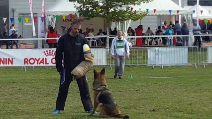 Luna du Grand Goût au test de caractère