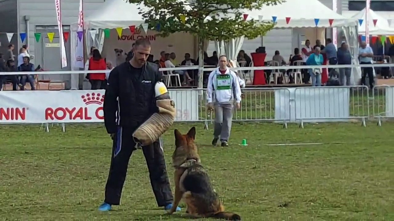 Luna du Grand Goût au test de caractère
