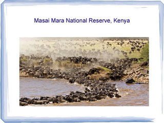 Scott Collinson - Best Places in the World for Wildlife Photography