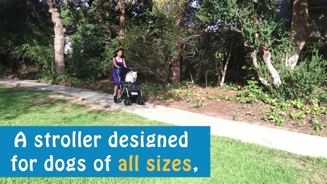 Pet Rover strollers for dogs, cats and pets