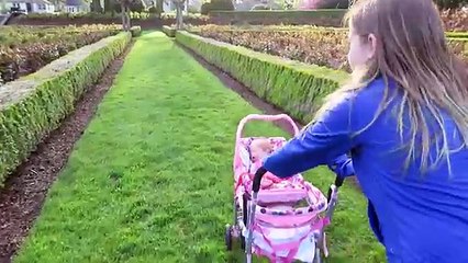 Reborn Baby Doll at the Park in Joovy Doll Stroller