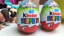 CUTE PUPPY IN MY POCKET PUPPY PLAY PARK TOY Swing Slide   Big Egg Surprise Opening Kinder Eggs Toys