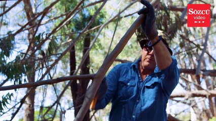 İnsanlar için kuş yuvası oluşturuyor