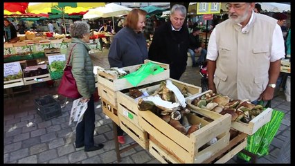 Des cèpes sur le marché de Périgueux