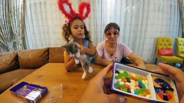 BEAN BOOZLED KAPIŞMASI, kusmuklu, kokmuş çorap kokulu, çürümümş ot neler var neler
