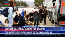 Azərbaycanlı miqrantlar Türkiyədə yaxalandı