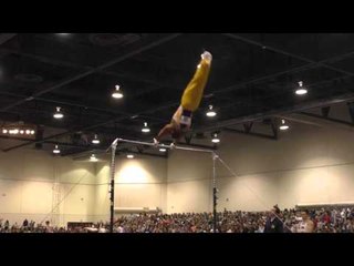 Stacey Ervin – High Bar – 2016 Winter Cup Finals