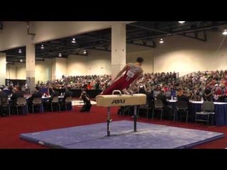 Alec Yoder - Pommel Horse - 2016 Winter Cup Finals
