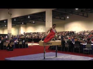 Sean Melton - Pommel Horse - 2016 Winter Cup Finals