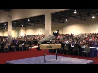 Donothan Bailey - Pommel Horse - 2016 Winter Cup Finals