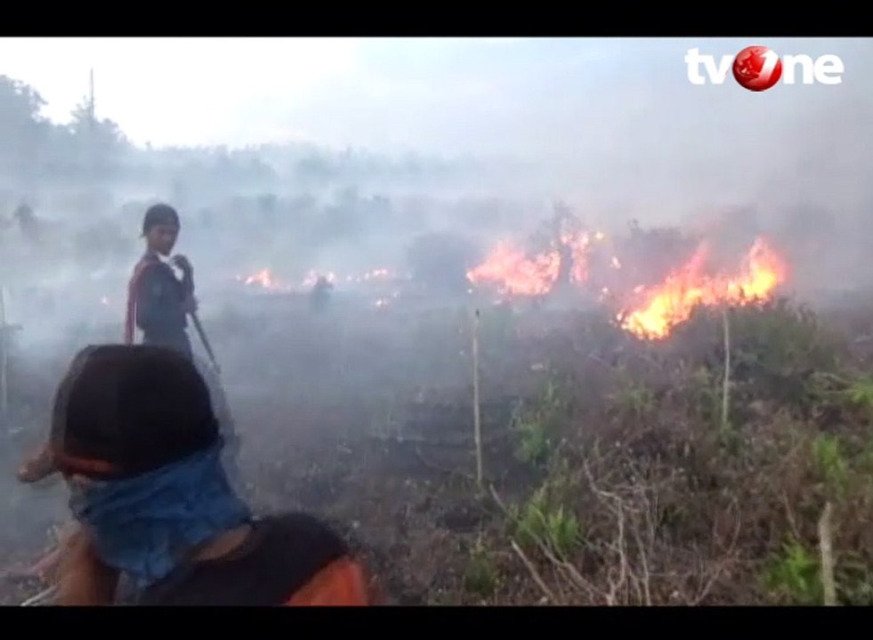 230 Hektar Lahan Gambut Terbakar, Sampit Waspada Kabut Asap