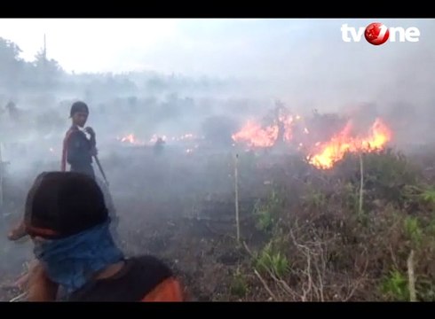 230 Hektar Lahan Gambut Terbakar, Sampit Waspada Kabut Asap