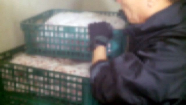 추석 대목 노린 불량식품업체 85곳 적발 / YTN