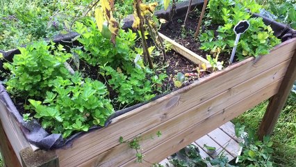 Marche: le jardin partagé des P'tits Potes