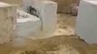 500kgs de Cocaïne cachés dans des blocs de Granite au Brésil !