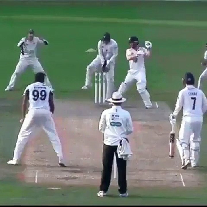 Ashiwn wicket
