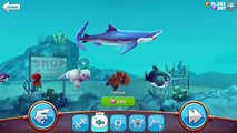 Hungry Shark World - New Baby Snapping Turtle Pet - Trevor