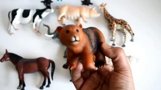 Learn Names And Sounds of Animals-Wild Zoo And Farm Animal-Kids Z Fun-Education Preschool Learning