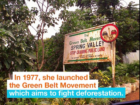 Wangari Maathai 1st African Female Nobel Peace Prize - Orange POP