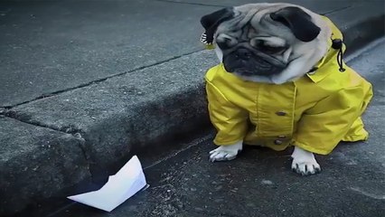 IT Bright Side: Insights & Updates