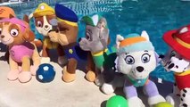 La patrulla canina salva a Masha y el Oso de un ataque de cocodrilo en la piscina/Cp 6 de Paw Patrol