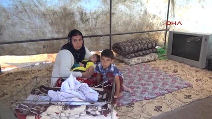 Şanlıurfa'da 6 Kişilik Aile Çadırda Yaşıyor