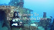 5 Reasons To Become A Scuba Diver