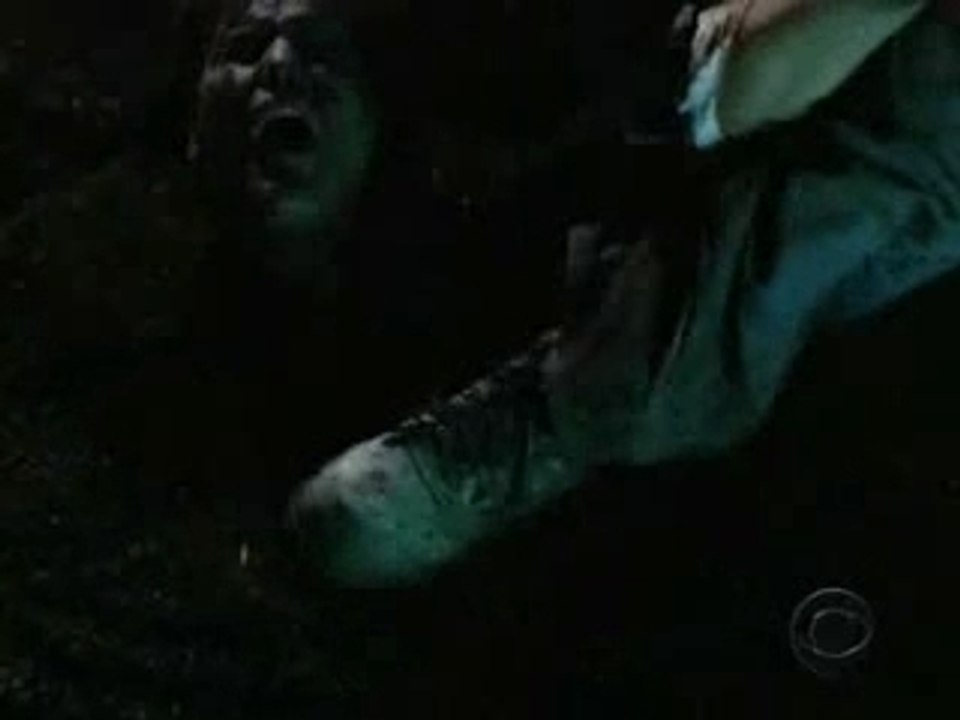 Trailer 4.06