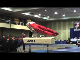 Allan Bower - Pommel Horse - 2014 Winter Cup Challenge Prelims