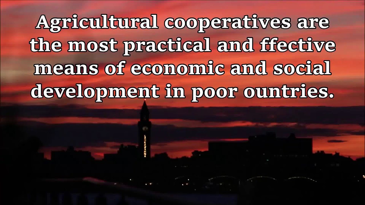 Agricultural cooperatives and the madmen of metaphysics