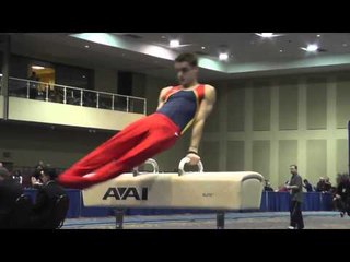 Grant Breckenridge - Pommel Horse - 2014 Winter Cup Challenge Prelims