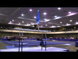 Fabian DeLuna - Parallel Bars - 2014 Winter Cup Prelims