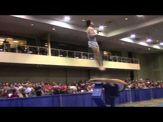 Donothan Bailey - Vault - 2014 Winter Cup Challenge Finals