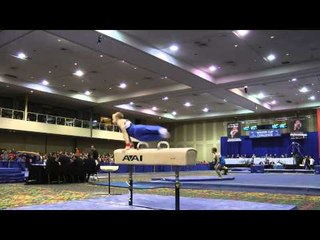 Cameron Bock - Pommel Horse - 2014 Winter Cup Challenge Finals